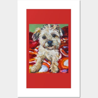 Bernie the CAIRN TERRIER by Robert Phelps Posters and Art